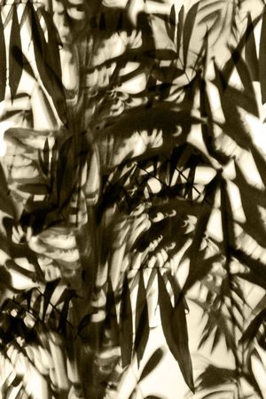 手绘印花华亿平台图片