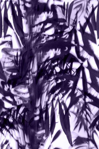 547427-水墨 写意 手绘 单色 竹叶 