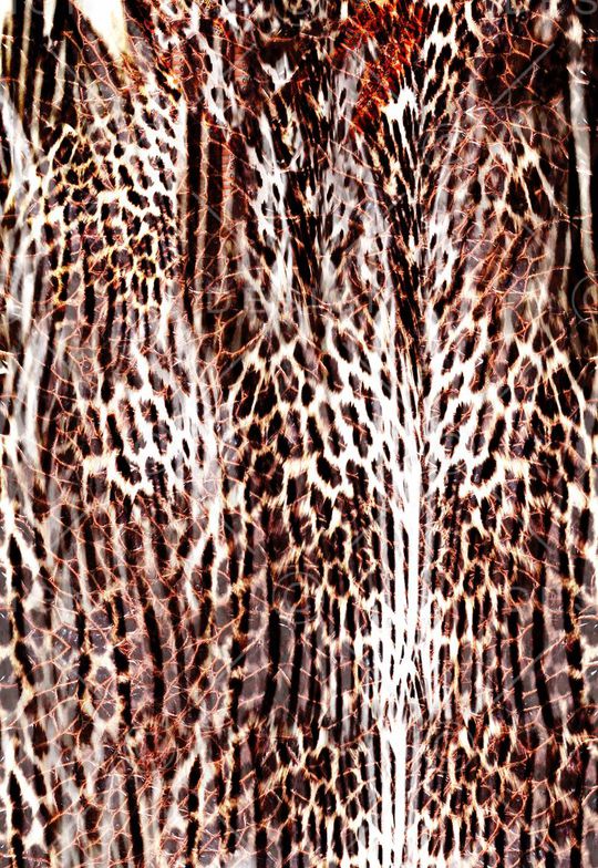 秋冬印花华亿平台图片