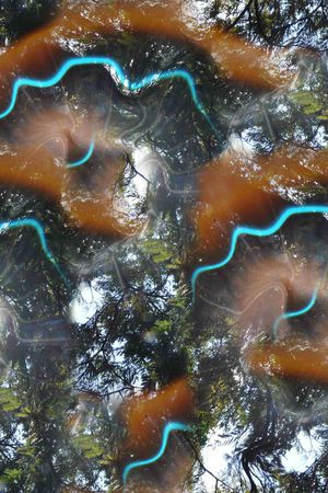 潮流印花华亿平台图片