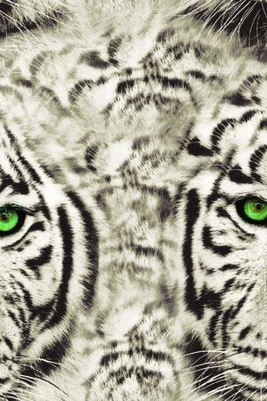 男装印花印花华亿平台图片