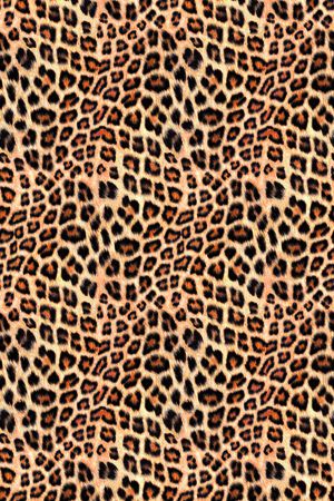 豹纹印花华亿平台图片