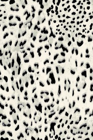 豹纹  拼花 创意印花华亿平台图片