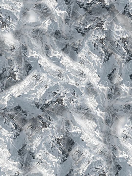 moncler印花华亿平台图片