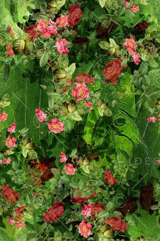 花卉风景印花华亿平台图片