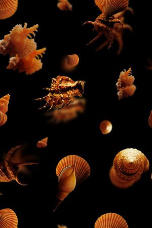 T恤印花华亿平台图片