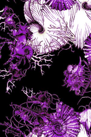 海螺印花华亿平台图片