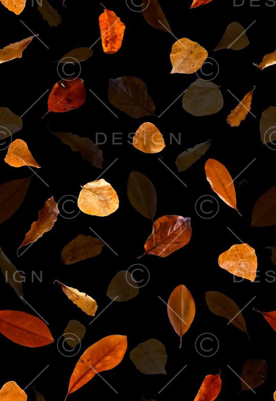 服装印花华亿平台图片