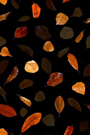 服装印花华亿平台图片