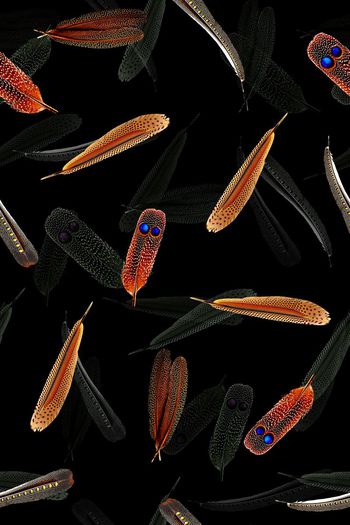 547967-复古 羽毛组合 服装华亿平台-1