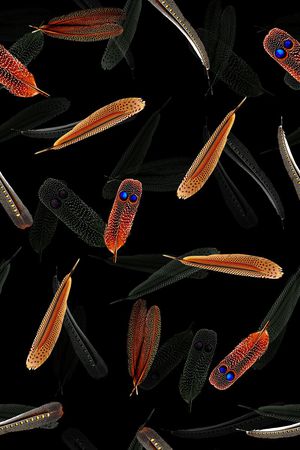 服装印花华亿平台图片