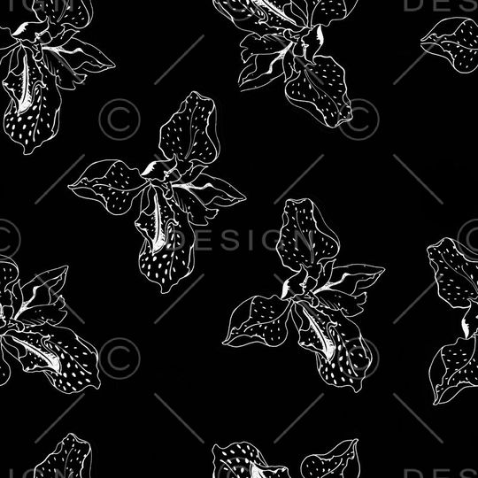 黑白印花华亿平台图片