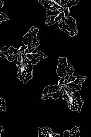 黑白印花华亿平台图片