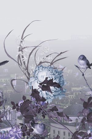 风景定位印花华亿平台图片