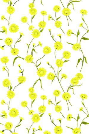 雏菊印花华亿平台图片