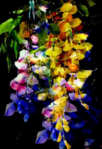 548105-时尚 手绘 水彩 花卉 定位 数码