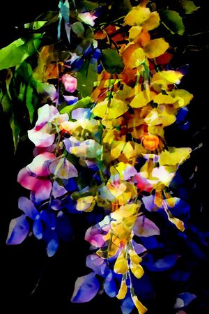 数码 裙子 女装T恤印花华亿平台图片