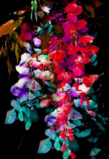 548106-时尚 手绘 水彩 花卉 定位 数码