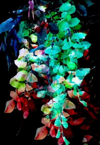 548107-时尚 手绘 水彩 花卉 定位 数码