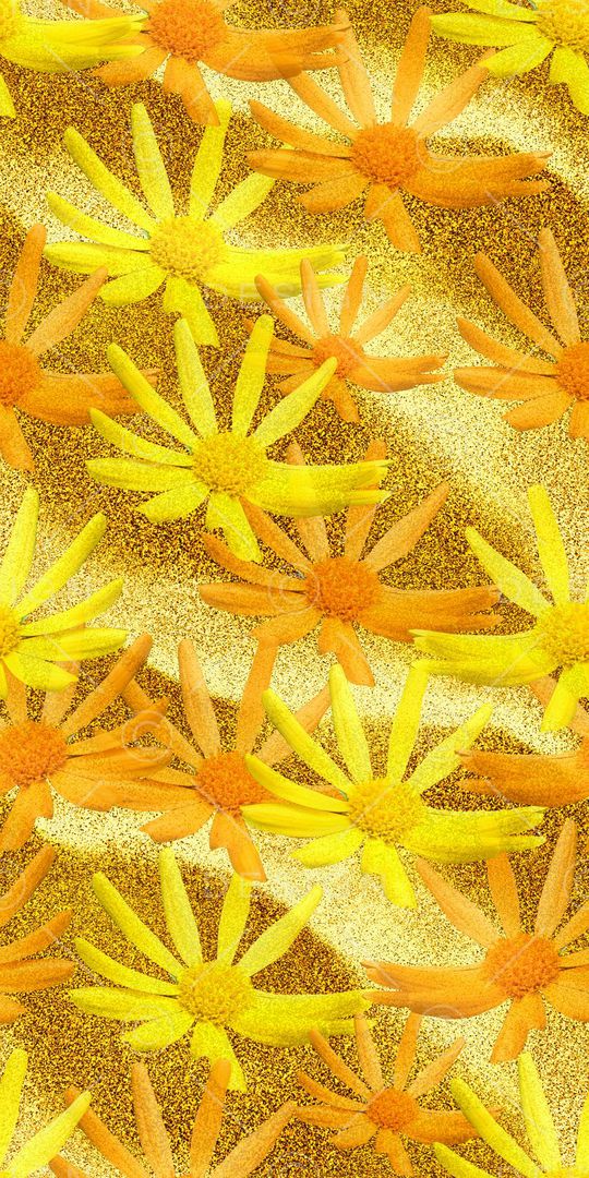 欧款印花华亿平台图片