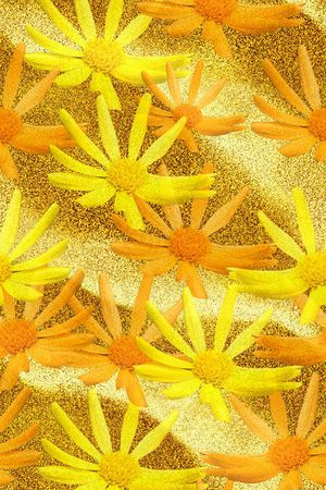 欧款印花华亿平台图片