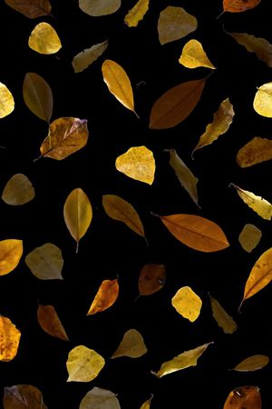 服装印花华亿平台图片