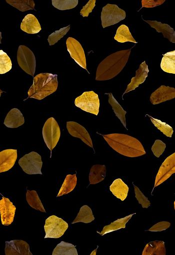 548239-复古 枯叶组合 服装 家纺 华亿平台