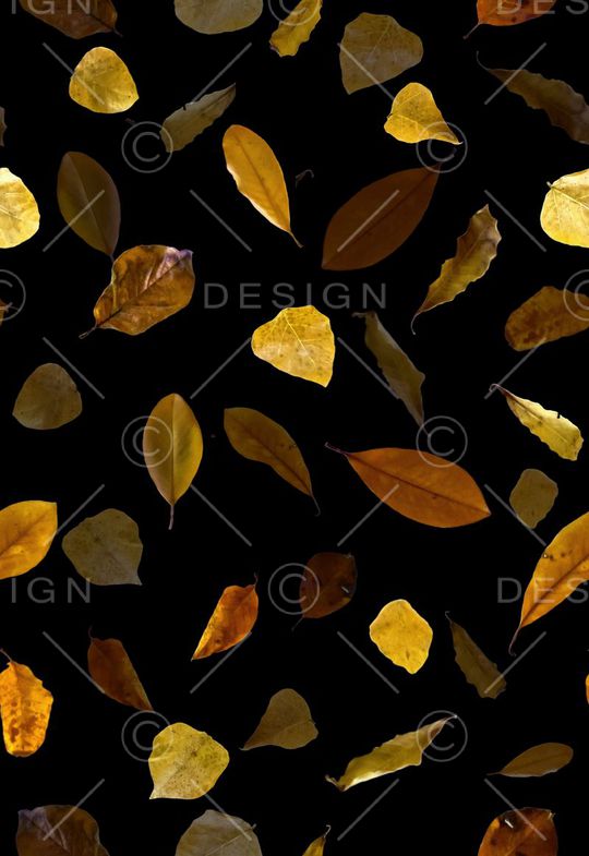 服装印花华亿平台图片