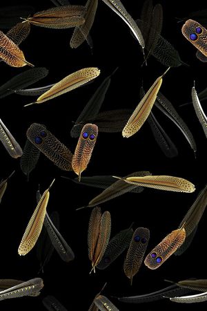 服装印花华亿平台图片