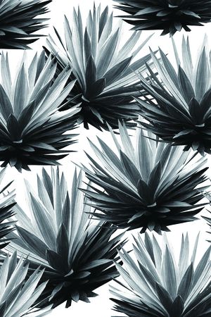 流行时尚印花华亿平台图片