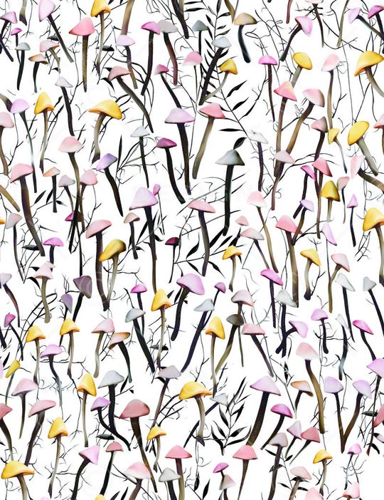 蘑菇印花华亿平台图片