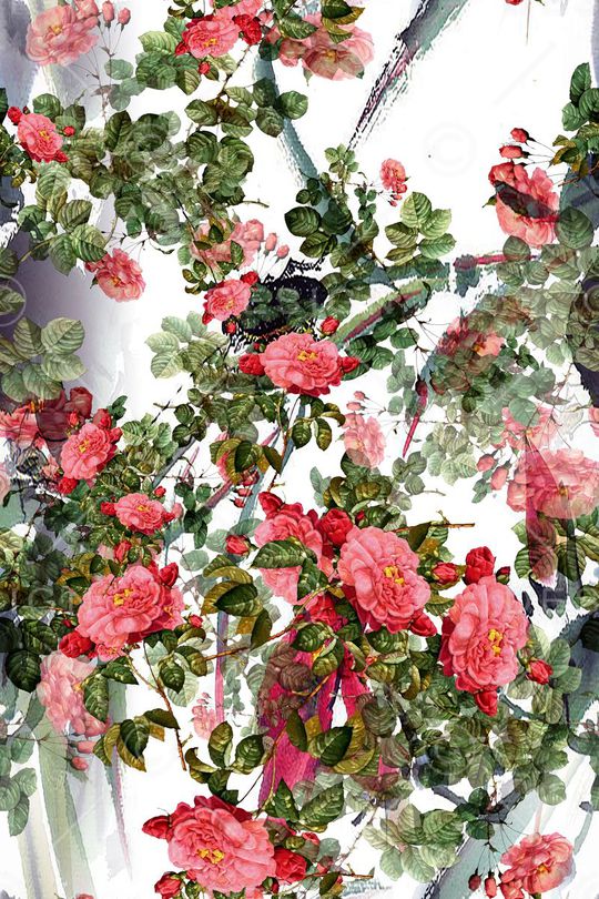 休闲风印花华亿平台图片