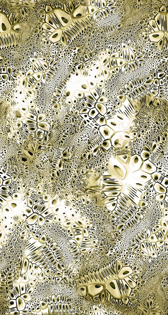 黑点印花华亿平台图片