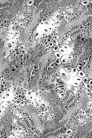 黑点印花华亿平台图片