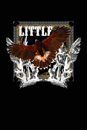 t恤华亿平台印花华亿平台图片