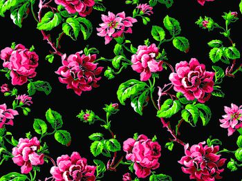 548566-花 叶 花卉 创意华亿平台 大牌华亿平台 