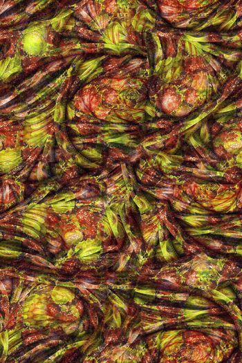 548658-抽象炫彩肌理 女士夏季衬衫 短裙