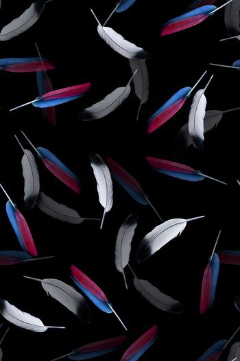 548691-复古 羽毛组合 服装华亿平台-3