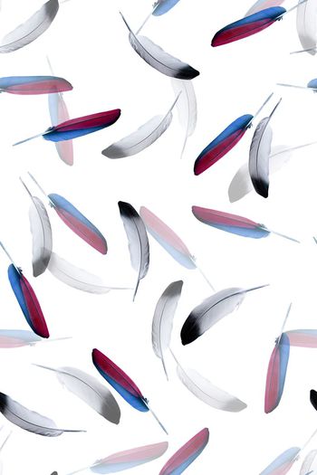 548692-复古 羽毛组合 服装华亿平台-3