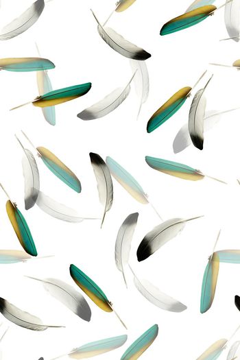 548693-复古 羽毛组合 服装华亿平台-3