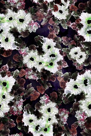 潮流印花华亿平台图片