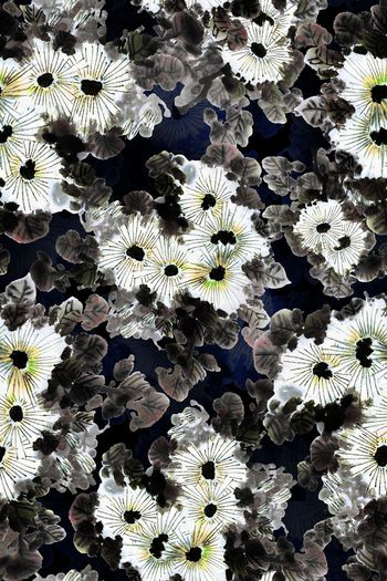 潮流印花华亿平台图片