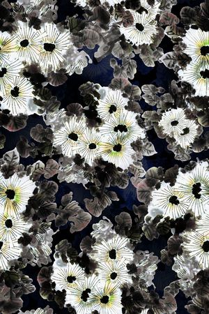 潮流印花华亿平台图片