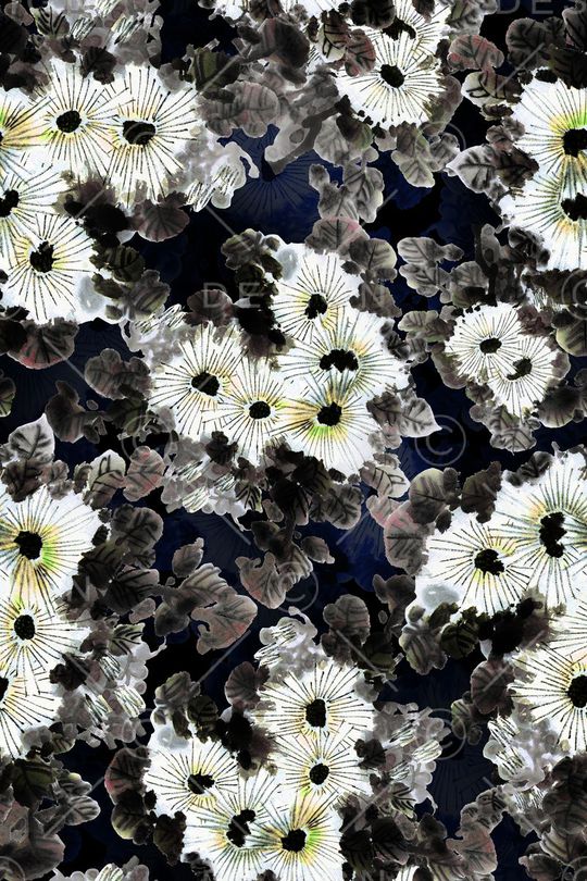 潮流印花华亿平台图片