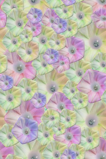 548781-时尚纹理花卉拼接组合