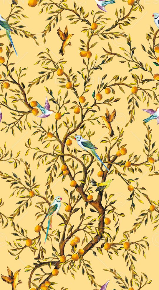 潮流时尚大牌印花华亿平台图片