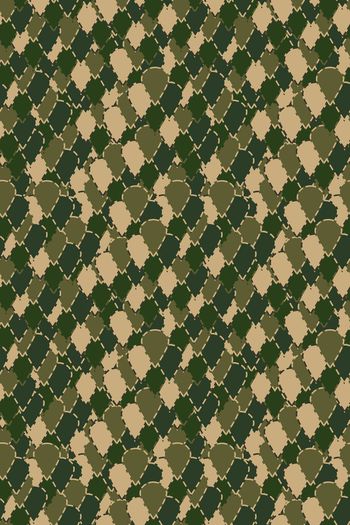548959-cp抽象迷彩