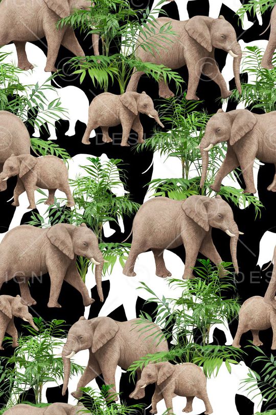 植物印花华亿平台图片