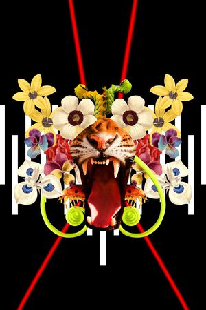 定位印花华亿平台图片