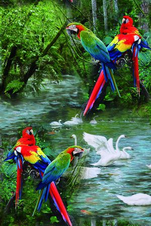 树印花华亿平台图片